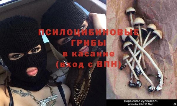 альфа пвп Богородицк